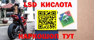 прущие грибы Донецк