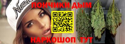 мдпв Дубна