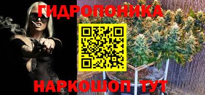 мдпв Дубна
