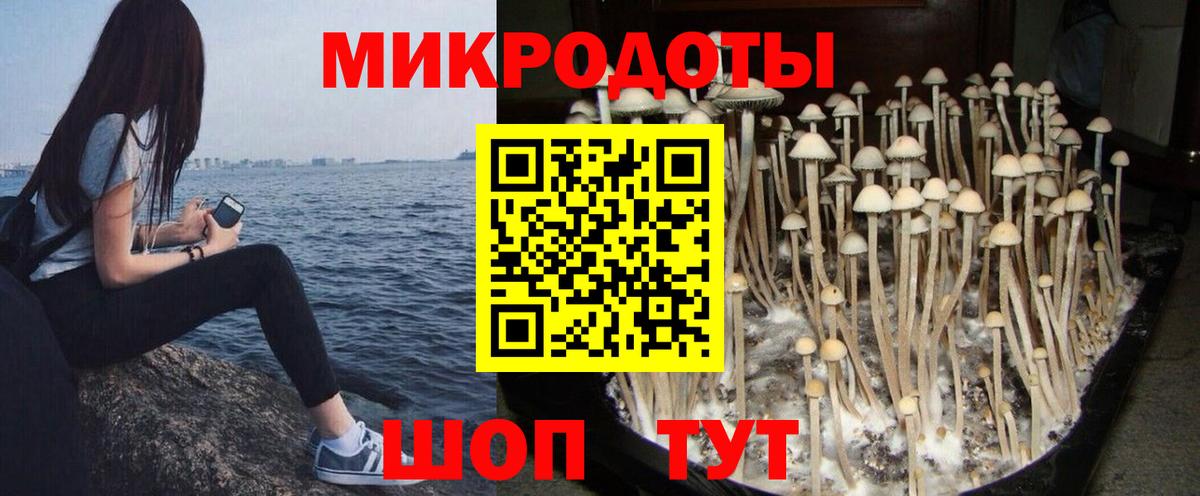Галлюциногенные грибы прущие грибы  Галлюциногенные грибы Psilocybe  Вход с VPN  Городец 