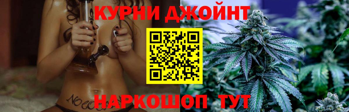 Марихуана планчик  Вход с VPN  Городец  МАРИХУАНА SATIVA & INDICA  Марихуана план  Конопля планчик 